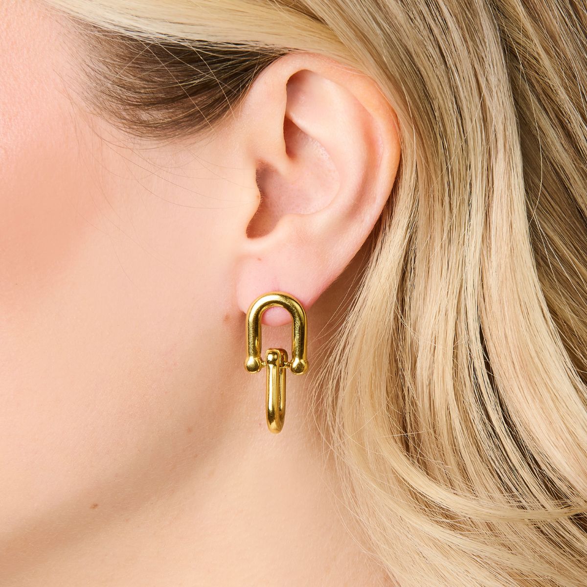 Double Link Earrings