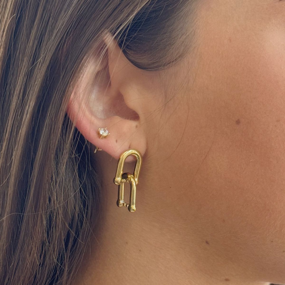 Double Link Earrings