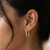 Halo Oval Hoops
