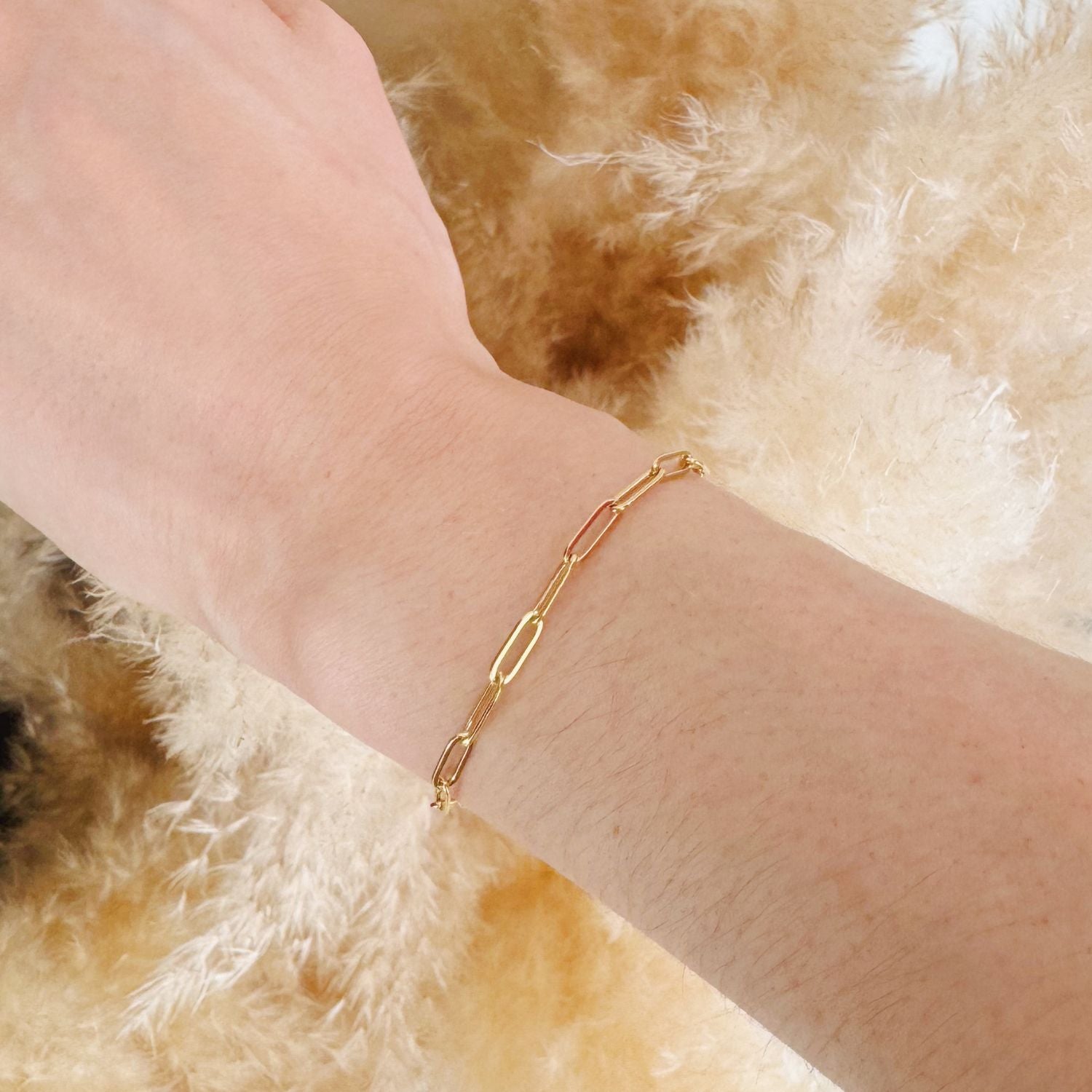 Paperclip Link Chain Bracelet in 14k Gold Stainless Steel