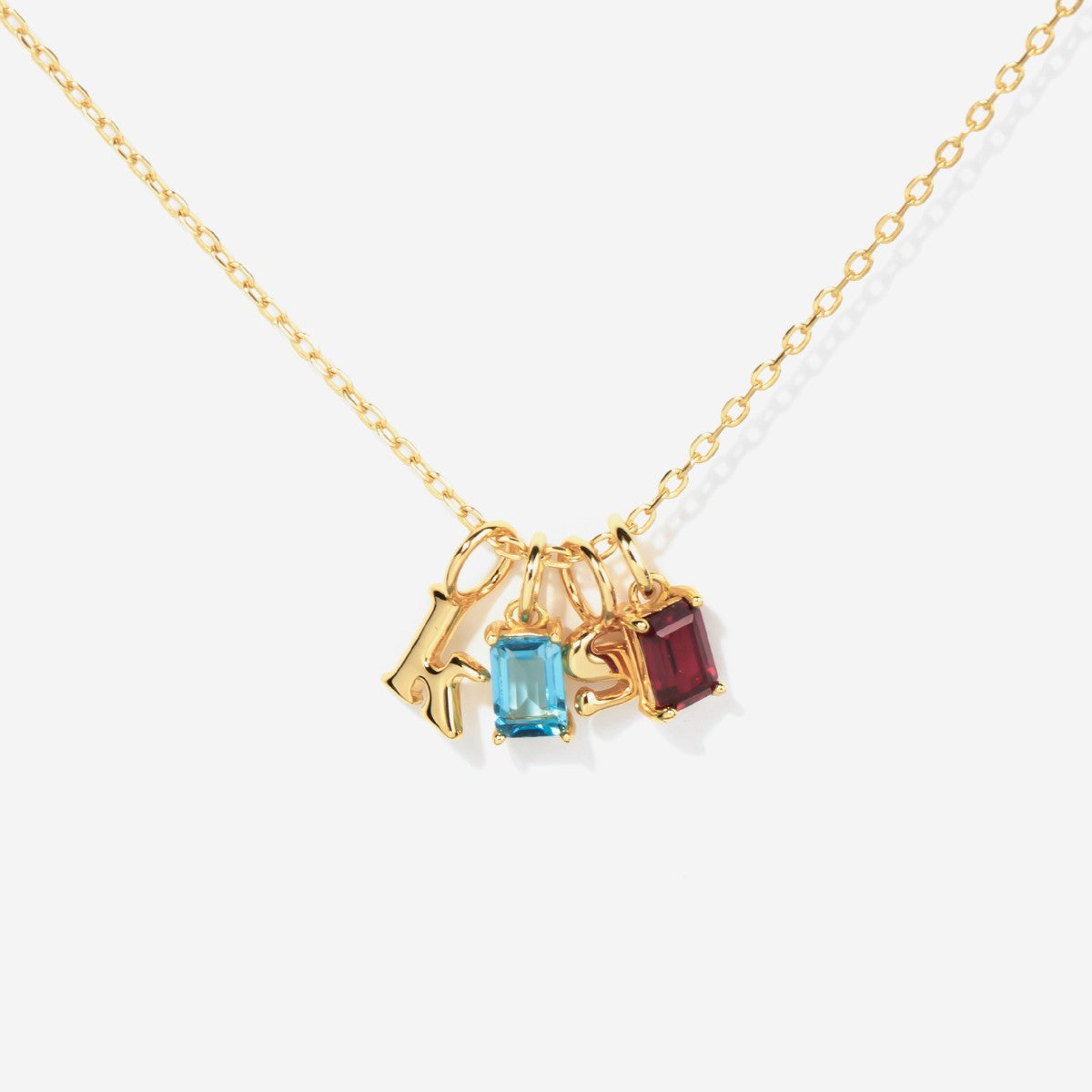 Initial Birthstone Necklace For Mom Family Necklace – Little Sky