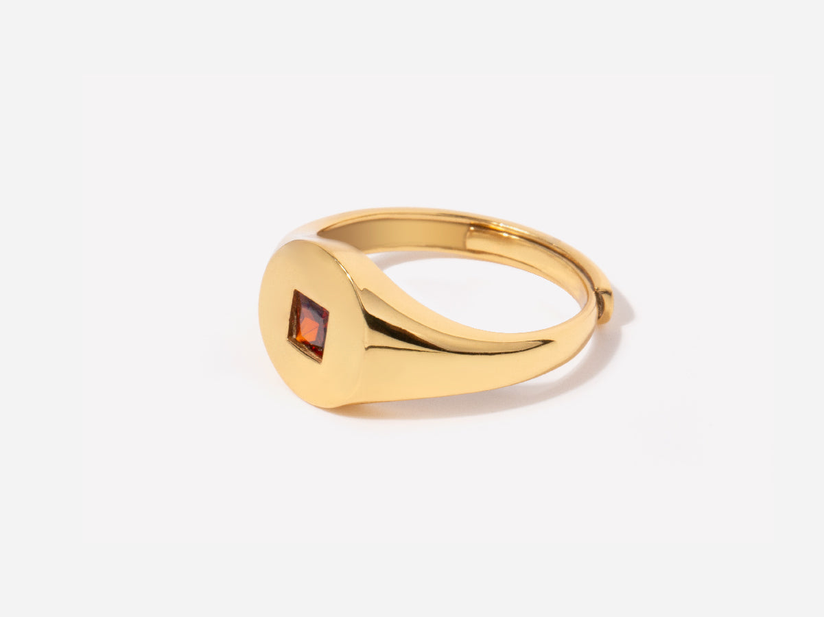 Garnet Signet Ring in 14k gold over sterling silver
