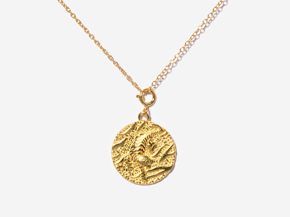 Tiger Coin Necklace in Gold Plated Silver