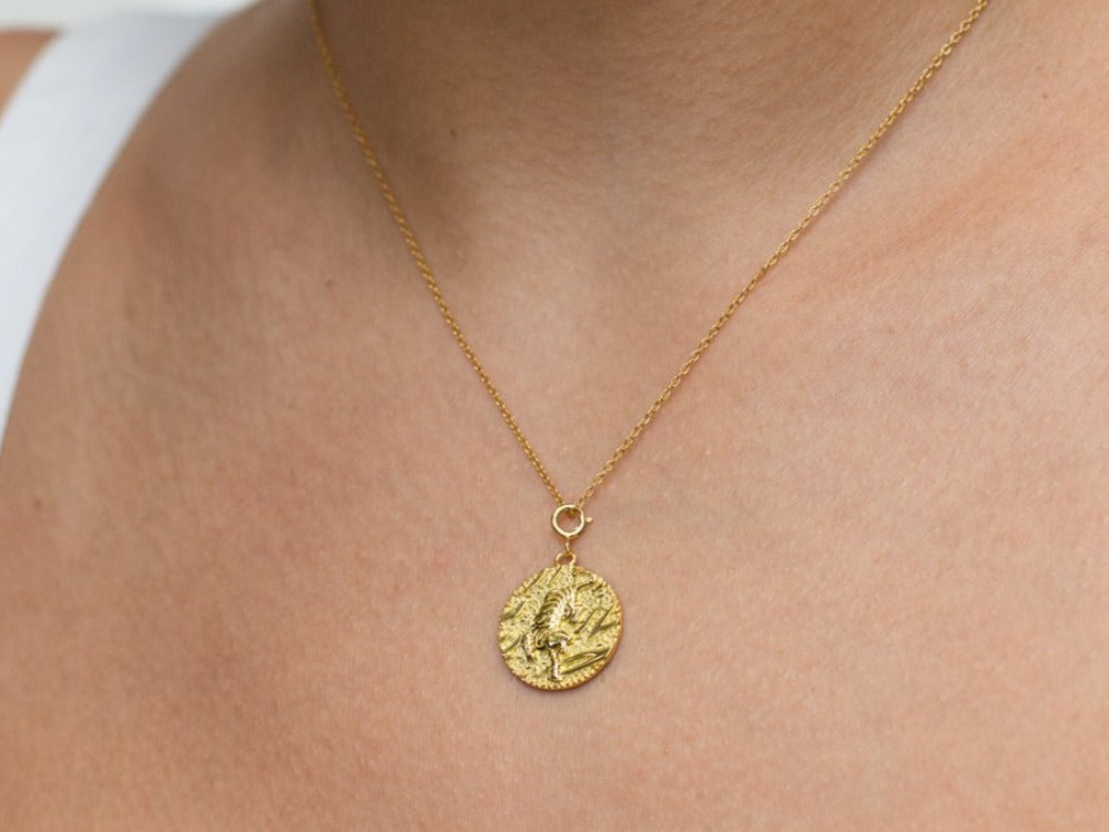 Tiger Coin Necklace in 14k Gold